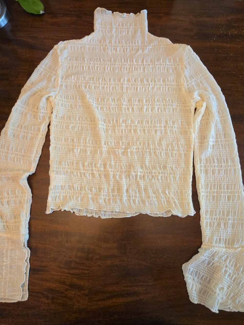 Honey Mango Cream/ Light Yellow Crinkle Textured Mock Neck Top Smocked Sheer Lon